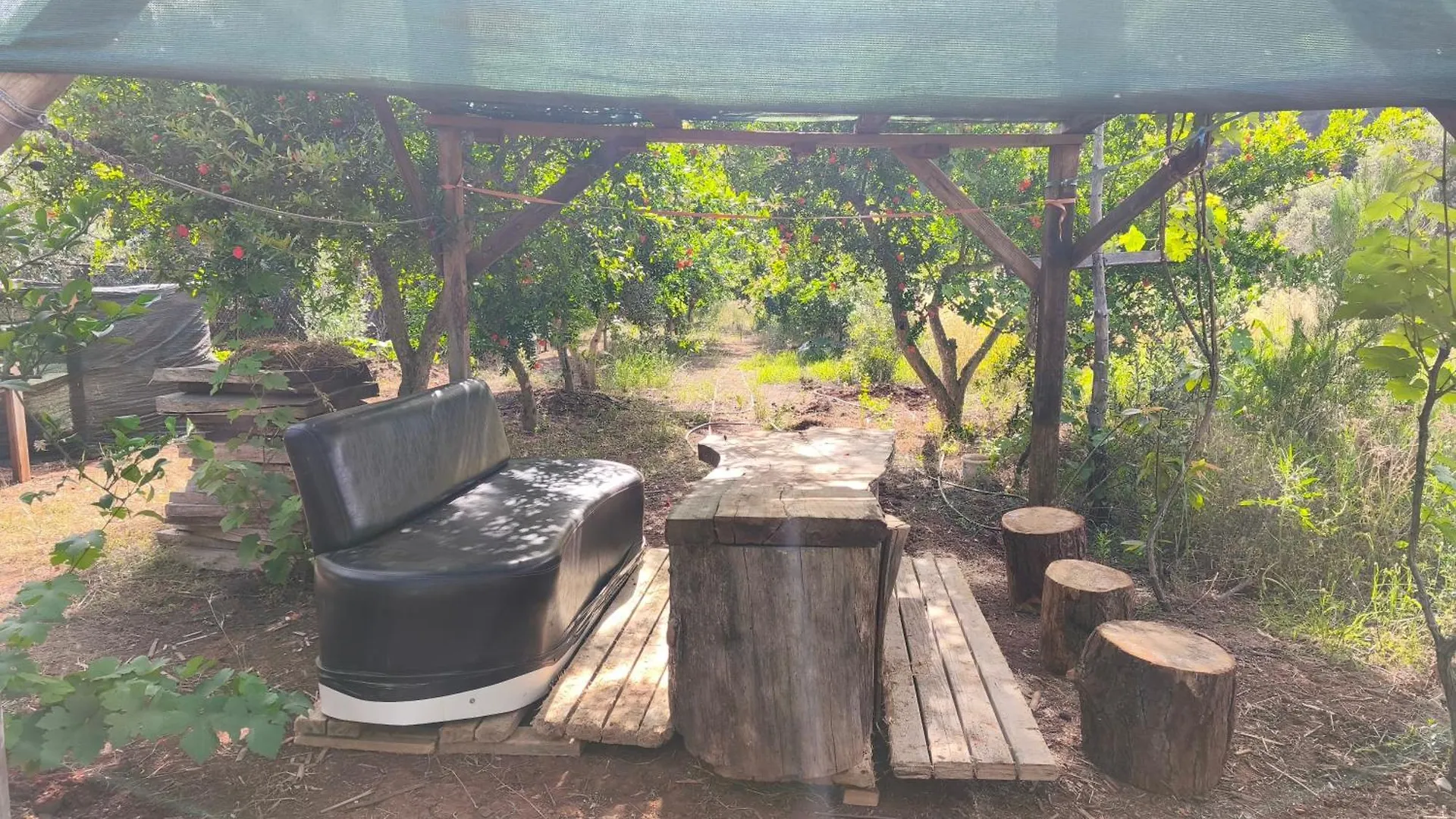Gelidonia Fenerium Holiday Home Antalya