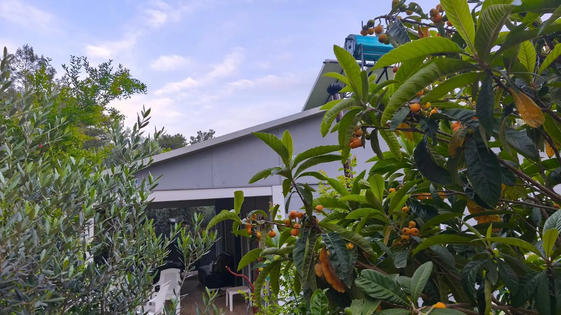 Gelidonia Fenerium Holiday Home Antalya