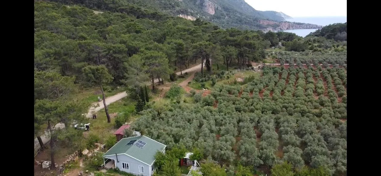Gelidonia Fenerium Holiday Home أنطاليا